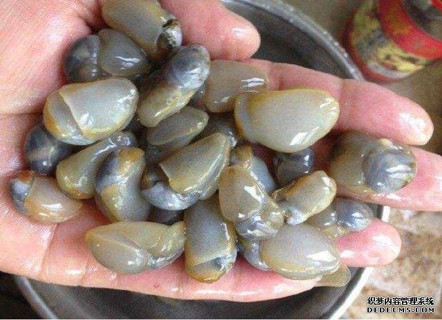 它比“小龍蝦”還受寵，味道鮮美，曾賣5元一斤，現(xiàn)想吃都買不起