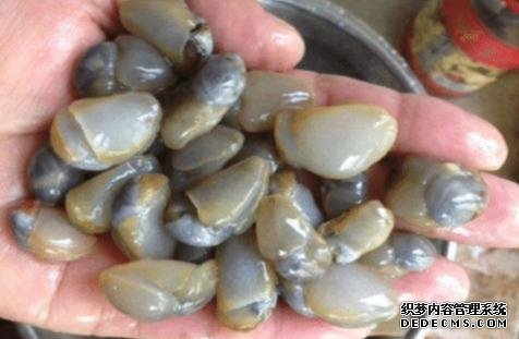 樣子很丑的4種海鮮，味道卻好到讓人“上癮”, 可惜識(shí)貨的人不多