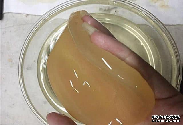 這種北方稀奇物美食，看著像一塊“肥肉”，上年紀的人才看懂