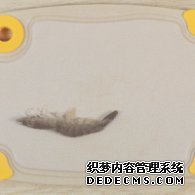 步驟圖:鮮蝦去頭去尾、去殼、去蝦線。蝦的背部和腹部各有一條