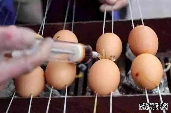 下崗大叔賣“天價(jià)”雞蛋，十元1串，食客：吃完一口還想第二口