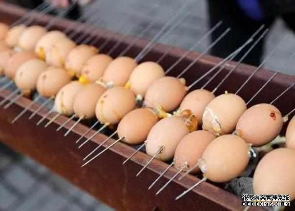 下崗大叔賣“天價(jià)”雞蛋，十元1串，食客：吃完一口還想第二口