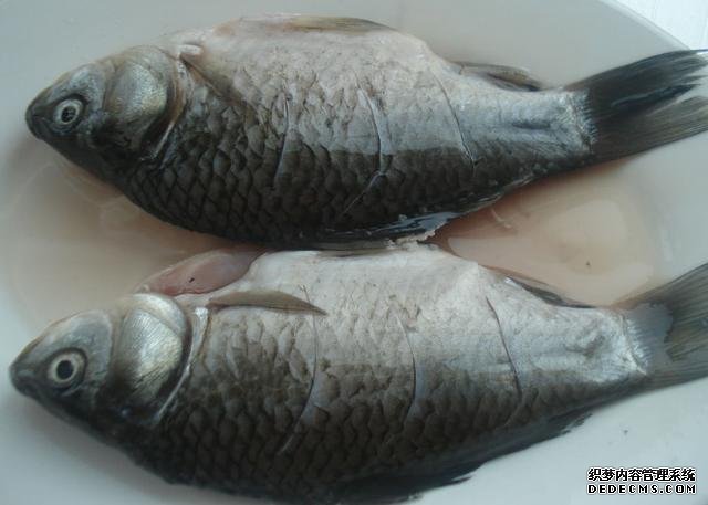 鯽魚我只服這樣做，稍微腌制風(fēng)干，做好一次可以吃上半年