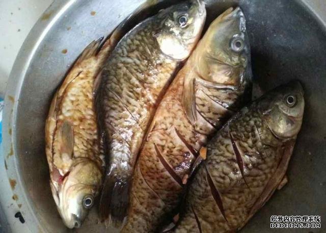鯽魚我只服這樣做，稍微腌制風(fēng)干，做好一次可以吃上半年