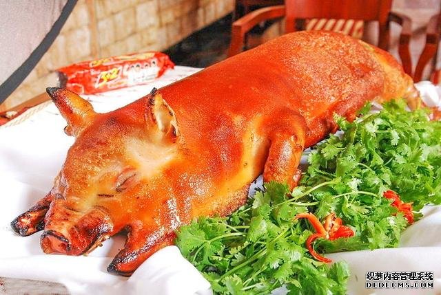最任性的小店，20年僅賣1種菜，每天賺2000，食客：天天吃也不膩
