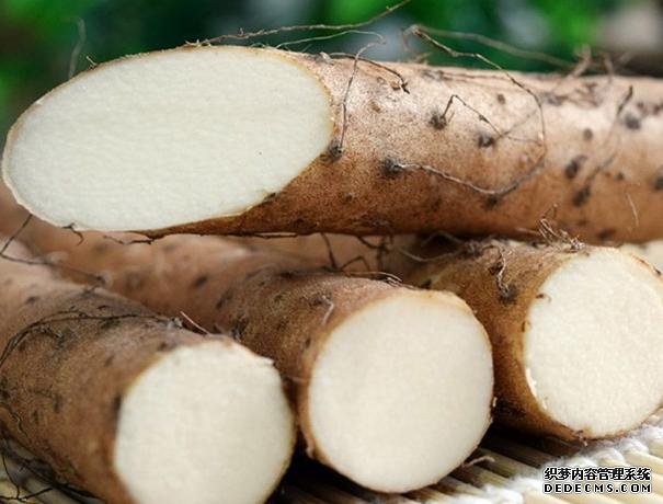 健脾護(hù)胃的山藥，就是要做出花樣才好吃呢，雞蛋卷加薯?xiàng)l，超好吃