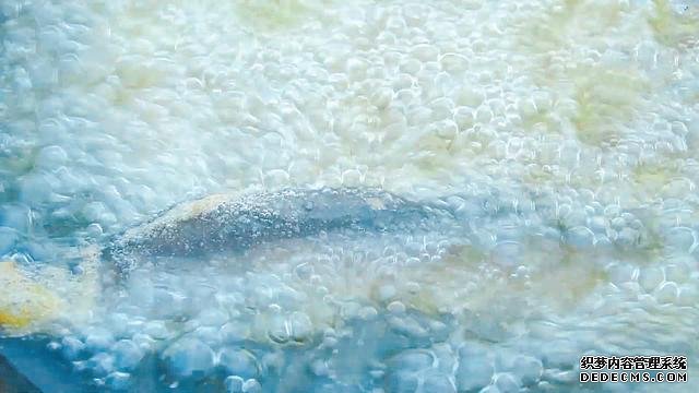 春節(jié)宅家中，捉了盆“水中人參”，寬油大火炸到焦香，很下飯