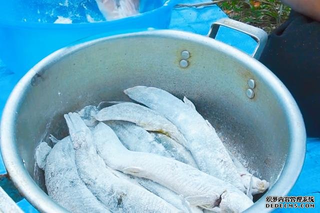 春節(jié)宅家中，捉了盆“水中人參”，寬油大火炸到焦香，很下飯