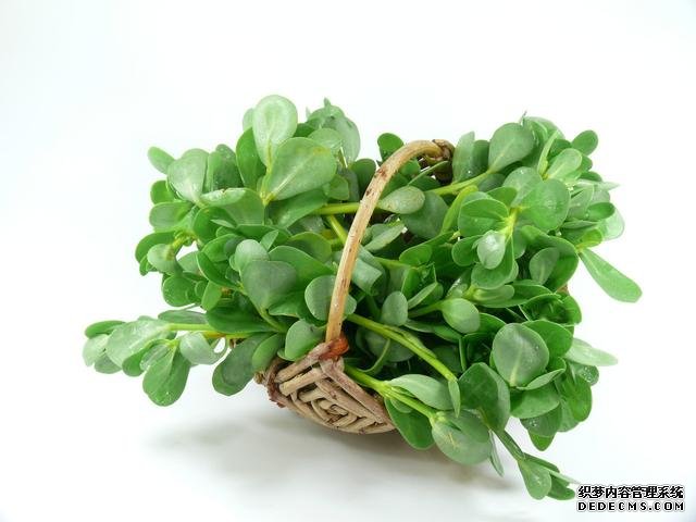 春分時節(jié)這菜要抓緊吃，再晚又得等1年，路邊隨處可見，營養(yǎng)豐富