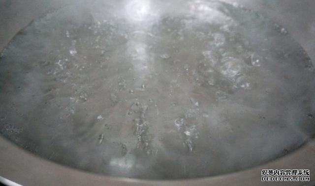 最正宗的蠔油生菜，快手簡單還減肥，2塊錢就能做一盤