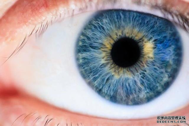 眼睛疲勞竟然會降低免疫力？是的