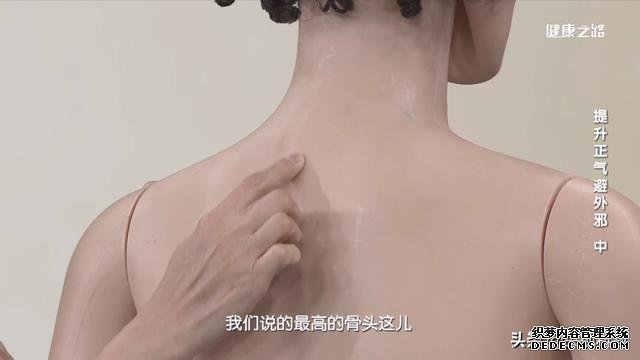 巧祛痰濕，增強抗病力，“兩點一面”是關鍵
