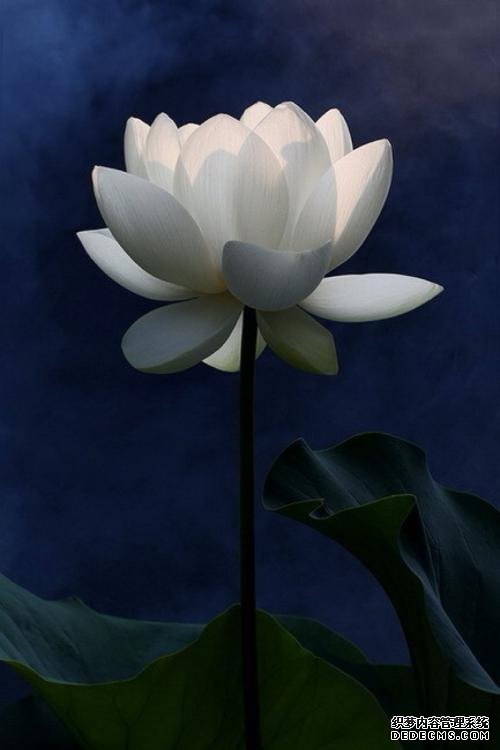徐文兵：對于養(yǎng)生來說，方向比方法更重要