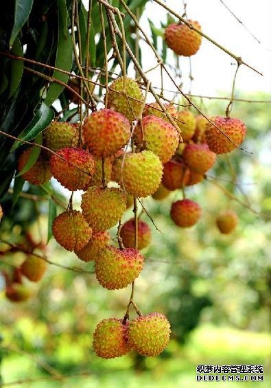 為什么一到夏天，你總是沒胃口？