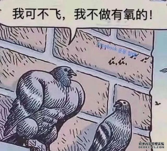 51條健身知識(shí)，看完再?zèng)Q定怎樣健身