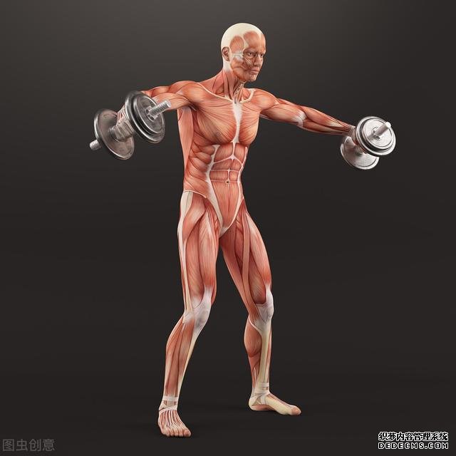 新手健身，應(yīng)該怎么安排訓(xùn)練，如何開啟健身計(jì)劃呢？