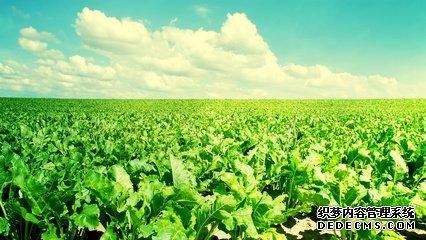 做人，心態(tài)要健康！