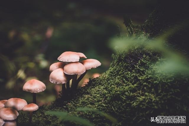 7種心理暗示，讓你保持健康心態(tài)
