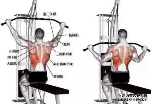 健身過程中，如何讓訓(xùn)練更高效？提高意識與肌肉的聯(lián)系，才是關(guān)鍵