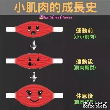22條健身知識，認真看完相當于上了一節(jié)私教課