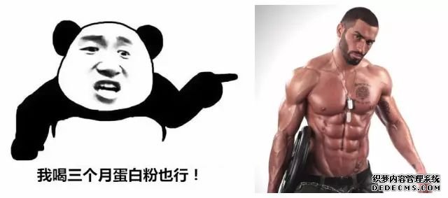 一萬次的想法，比不上你一次全身心的投入到健身當中去