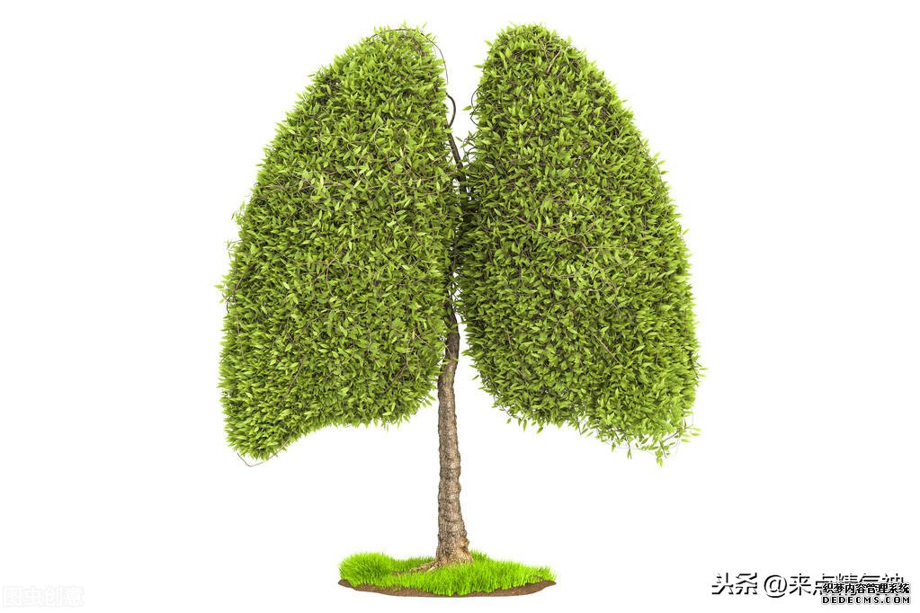 每天3次！幫助鼻子防止寒氣侵犯體內(nèi)。鼻炎或鼻子不靈敏的注意