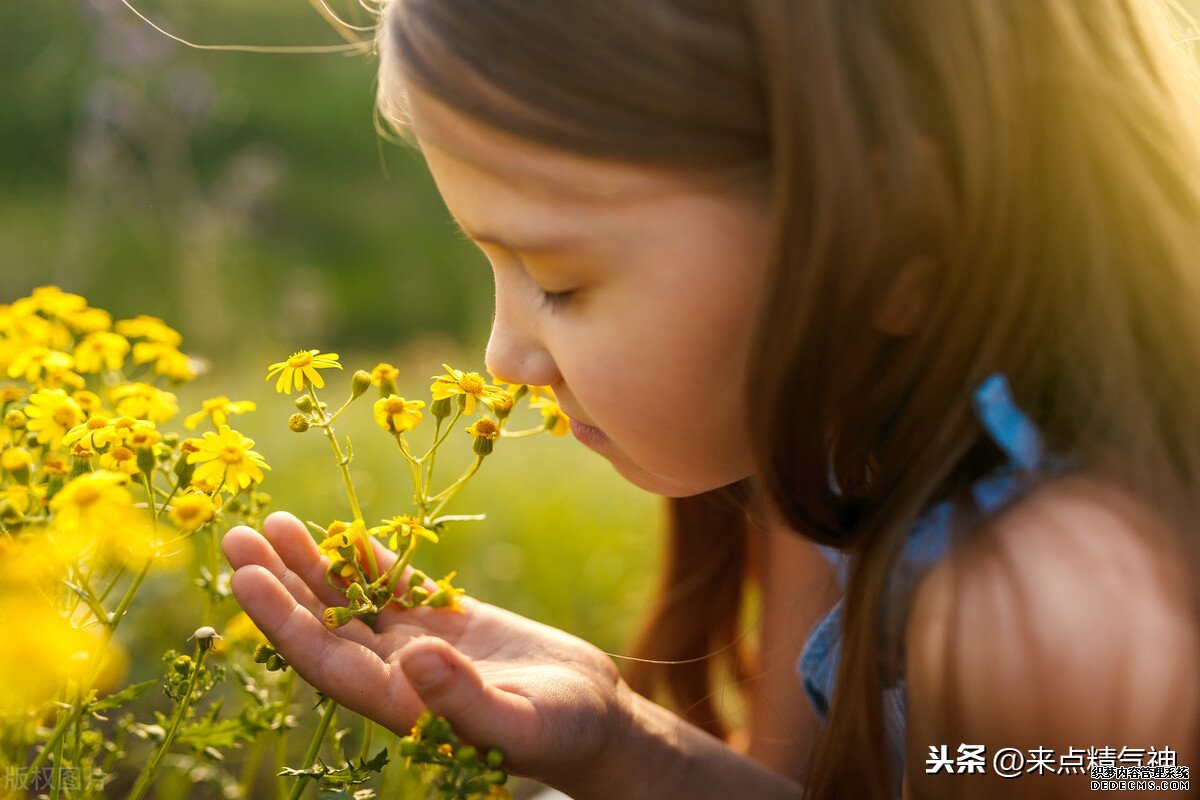 每天3次！幫助鼻子防止寒氣侵犯體內(nèi)。鼻炎或鼻子不靈敏的注意