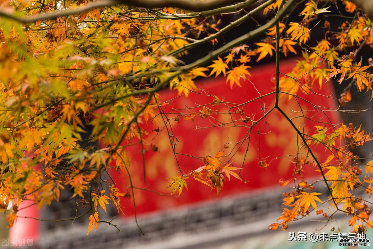 每天3次！幫助鼻子防止寒氣侵犯體內(nèi)。鼻炎或鼻子不靈敏的注意