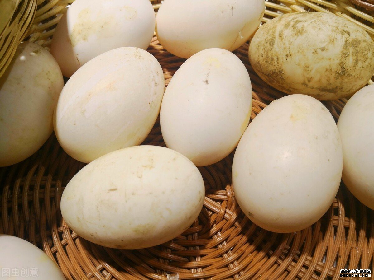 為什么鵝肉常見，但是鵝蛋卻很少見？鵝蛋的營(yíng)養(yǎng)價(jià)值如何？