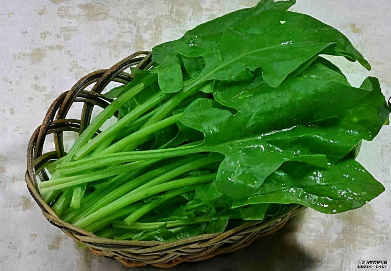 眼睛常常出現(xiàn)“酸痛”？多吃這些“食物”，遠離疲勞與干澀