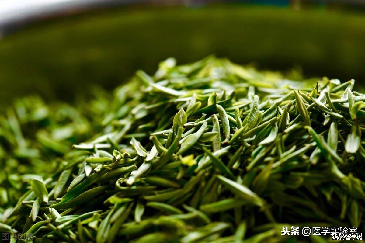 喝茶的“六大禁忌”，會喝茶也要懂茶，不讓茶傷害到自己