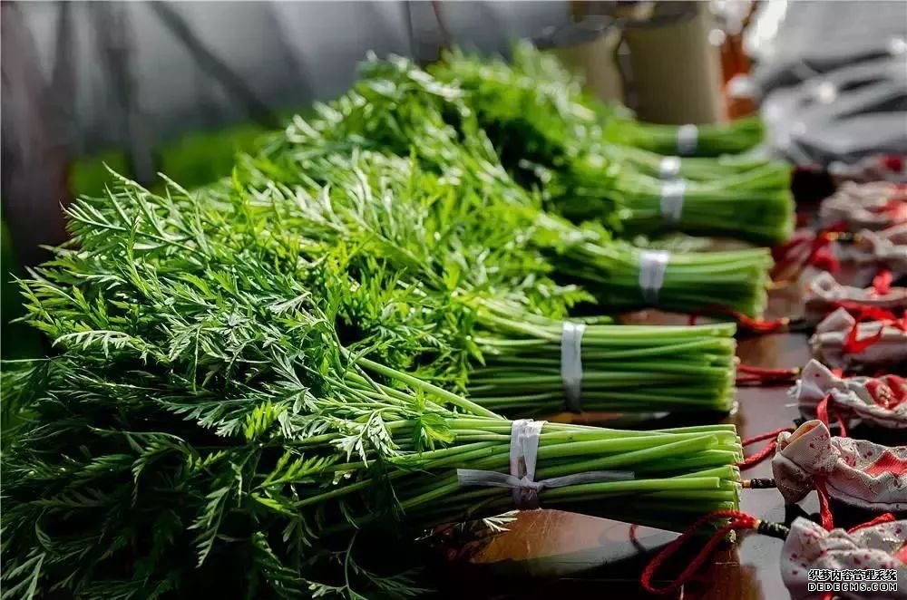 血管斑塊可以消除嗎？做到這四點(diǎn)，血管會(huì)被洗干凈