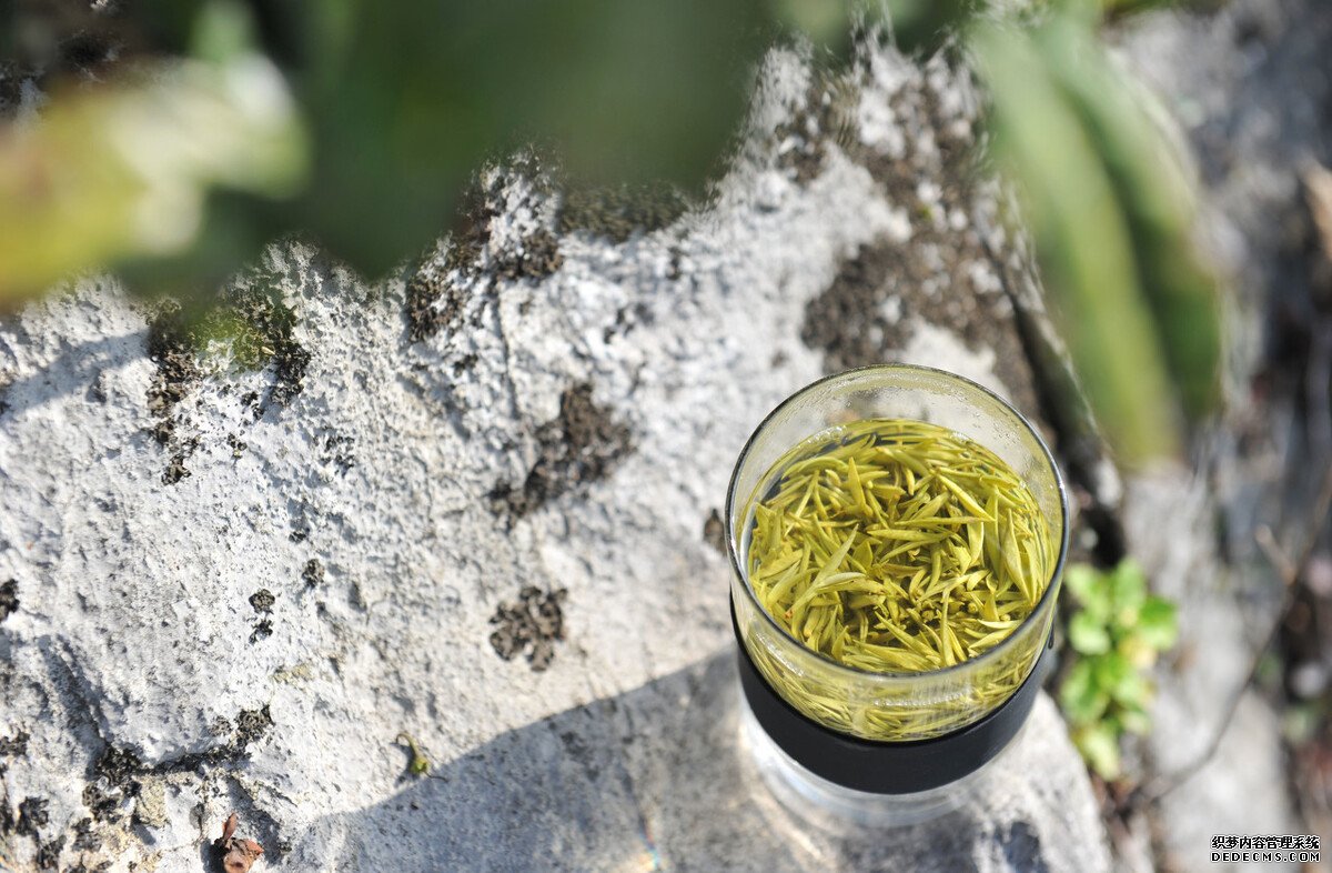 茶葉是酸性還是堿性？