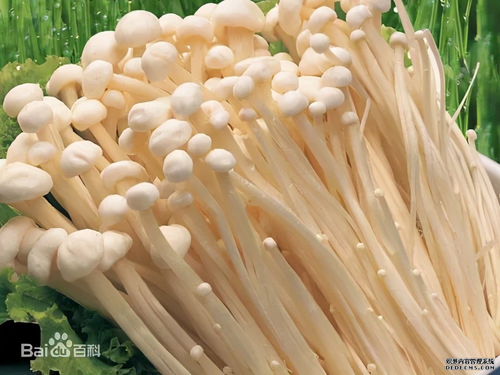 這些食物吃起來有風險，一定要當心。